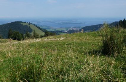 Woid Wanderung VI