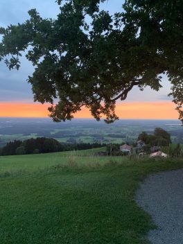 d5929eaa-d22a-4528-b2b6-7a3df76f1068