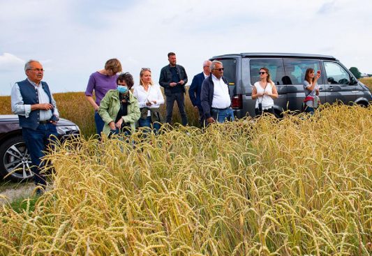 erntepressefahrt (17)