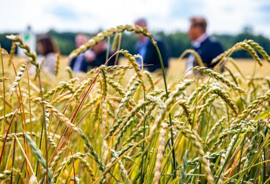 erntepressefahrt (22)