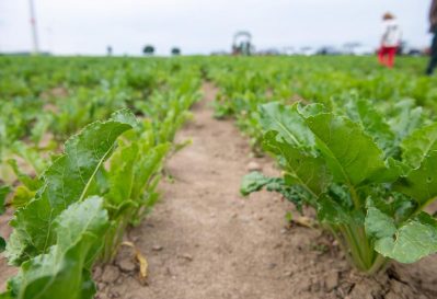 erntepressefahrt (27)