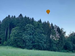 kl-1Ballon über Wald 1