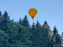 kl-1Ballon über Wald 2