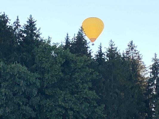 kl-1Ballon über Wald3