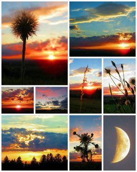 200824_213721_COLLAGE-1