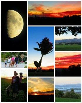 200827_055401_COLLAGE-1