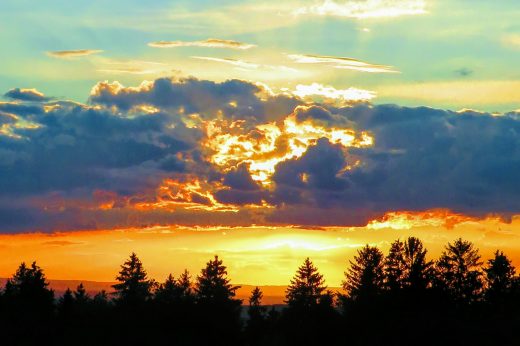 20200824194620_IMG_2335~3