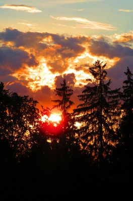 20200824194922_IMG_2341~2