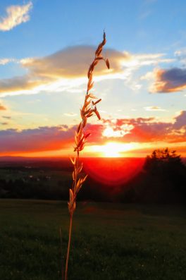 20200824195133_IMG_2345~2