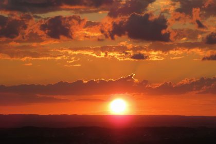 20200824200026_IMG_2376~2