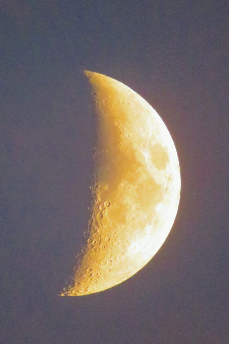 20200824201005_IMG_2397~2