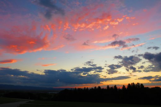 20200824201136_IMG_2399~2