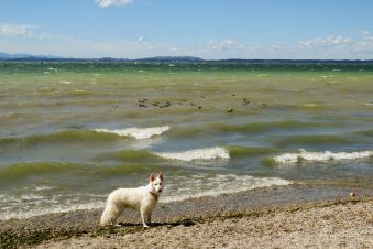 20200826130520_IMG_2623~2