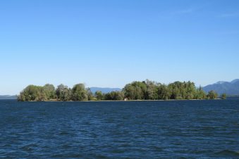 20200826173037_IMG_2698~2