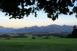 20200826194522_IMG_2765~2