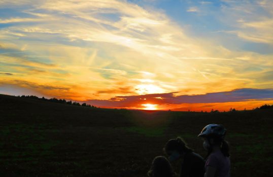 20200826195529_IMG_2807~2