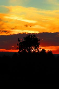 20200826200158_IMG_2830~2