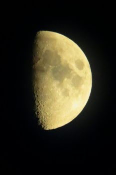 20200826201906_IMG_2900~2