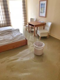 8a29e1c4-312f-4b70-95ec-c4e8feaa13c8