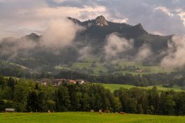Aug. über Holzmann zum Heuberg