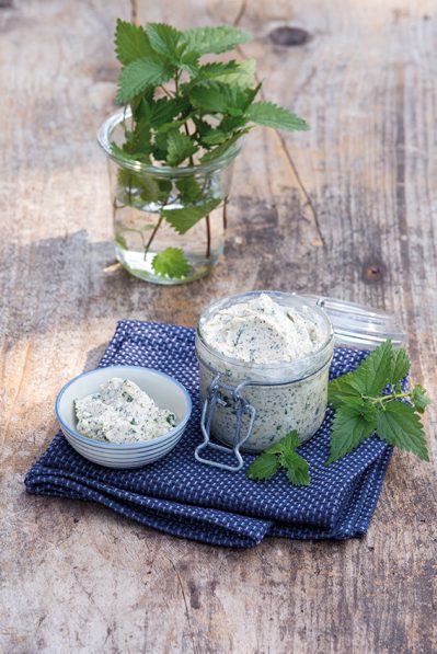 BGL_LechnerRezept_Topfen Brennnessel Mohn_RGB