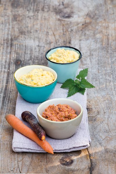 BGL_LechnerRezept_Topfen Karotte Brennnessel Sesam_RGB