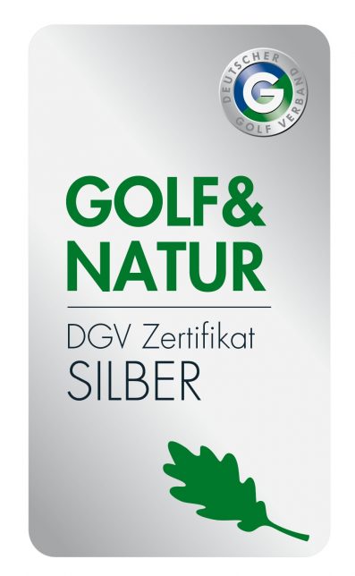 DGV_Logo_hoch_fin_silber_oS
