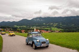 Ententreffen-2019-1840119