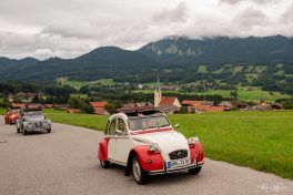 Ententreffen-2019-1840123