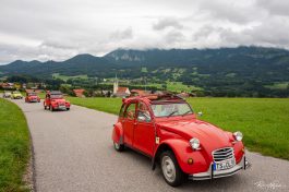 Ententreffen-2019-1840129