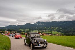 Ententreffen-2019-1840142