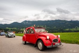 Ententreffen-2019-1840145