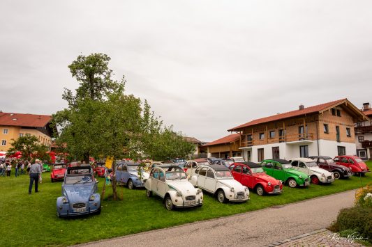 Ententreffen-2019-1840281