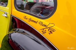 Ententreffen-2019-1840306