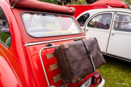 Ententreffen-2019-1840311