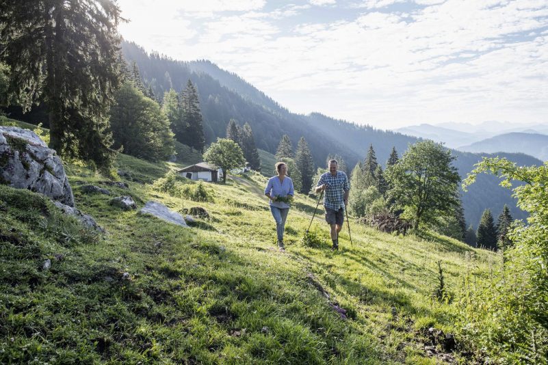 Lechner_Horterer_RGB