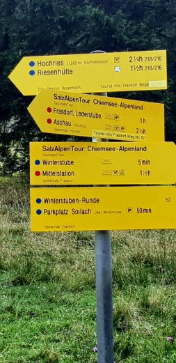 Screenshot_20200816-093135_Gallery~2