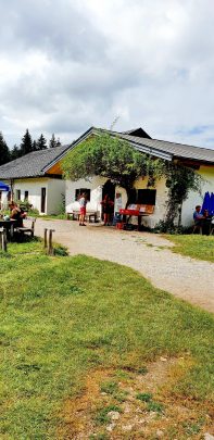 Screenshot_20200816-100322_Gallery