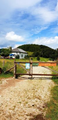 Screenshot_20200816-100336_Gallery