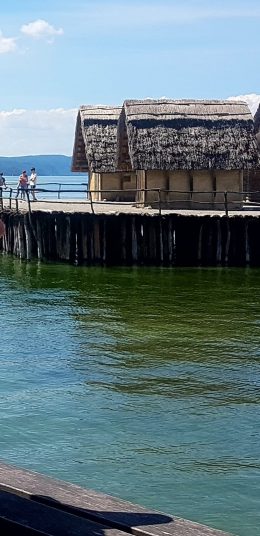 Screenshot_20200826-142626_Photos