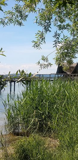 Screenshot_20200826-142655_Photos