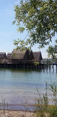 Screenshot_20200826-142720_Photos