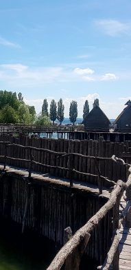 Screenshot_20200826-142757_Photos