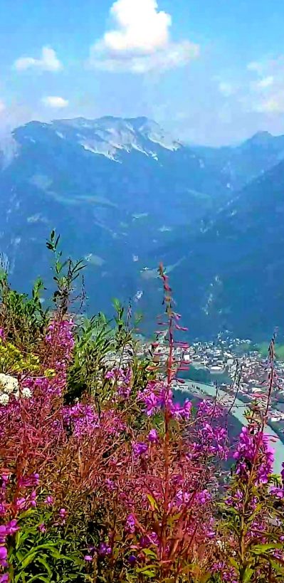 Screenshot_20200826-163507_Gallery