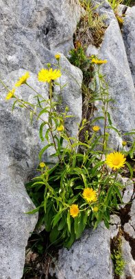 Screenshot_20200826-164559_Photos