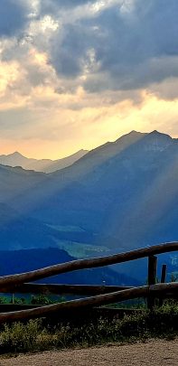 Screenshot_20200826-164704_Photos