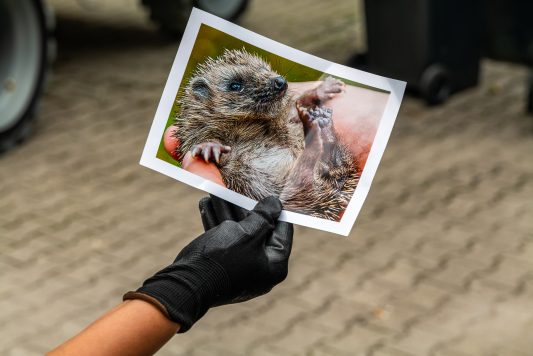 Transitartfestival-1040539