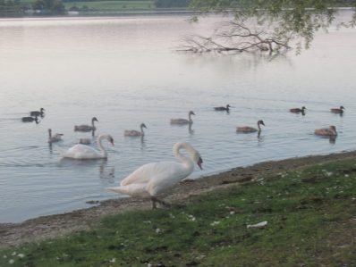 an der Prienmündung