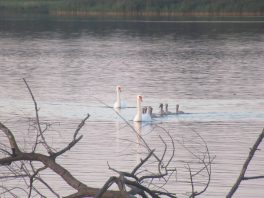 an der Prienmündung