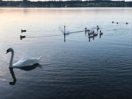 an der Prienmündung